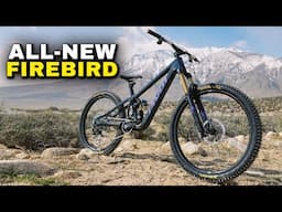 First Ride Impressions: 2025 Pivot Firebird