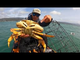 This is the IDEAL TIME to Catch BIG Dungeness Crab