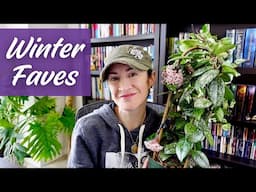 11 Houseplants Really Impressing Me This Winter | Winter Plant Faves
