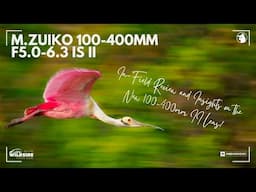 M.Zuiko 100-400mm F5.0 - 6.3 IS II - Field Review & Results