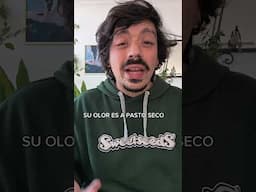 ¿Te ha pasado que tus flores huelen a pasto? Hoy Alvarito nos cuenta por qué te está pasando esto