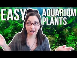 Easy Beginner Aquarium Plants 🌿 Low Maintenance Aquatic Plants