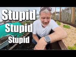 Food Poisoning and a Total Cock Up
