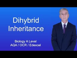A Level Biology Revision (Year 13) "Dihybrid Inheritance"