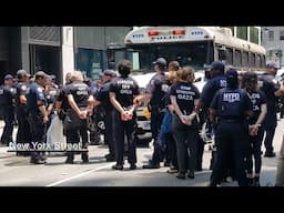 Dozens Arrested at Pro-Gaza Anti-Maersk Protest Midtown Manhattan June 11 2025