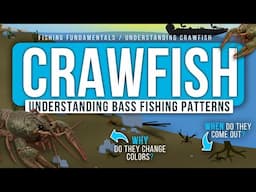 Understanding CRAWFISH Behavior to Catch MORE BASS! (Colors, Patterns, Environment)