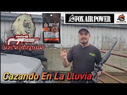 Cazando En La Lluvia || Leo's Airguns