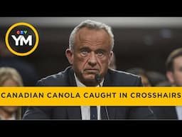 The Impact of RFK Jr.’s Health Policies on Canadian Canola | Your Morning