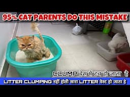 Litter ke Clumps base mein kyu chipak jate he || litter kaise use krna chahiye