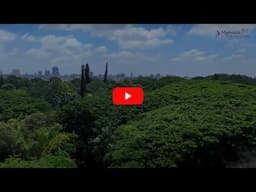 Power of Conservation
