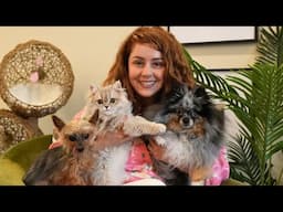 How to spot the difference between an Ethical Breeder & a Puppy Mill