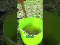 Catches PB then Falls in Bucket