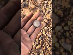 Gold nugget and 1890 shilling