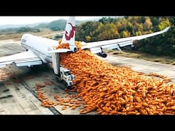 They Dropped 10.000 Tiny Foxes on U.S. Island With No Humans, What Happened Was Shocking