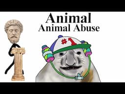 Animal Animal Abuse