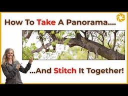 How to stitch a panorama wildlife image with Sabine