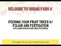 Feeding your trees with Foliar & Fertigation