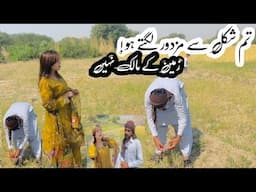 Tum Shakal se majdur Lagte Ho