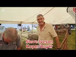 WATCH | Sought-after Wauldby breeding stock on auction