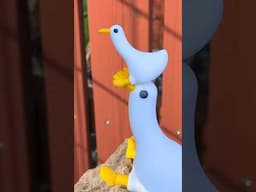 Buck the Wingless Duck 🦆 #3dprinting #duck #rejectedanimals