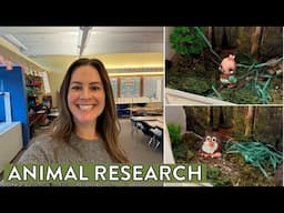 Animal Research Projects in First Grade - Nonfiction Writing, PBL Habitats, & Mother's Day!