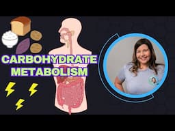Carbohydrate Metabolism: How Does the Body Turn Food into Pure Energy?
