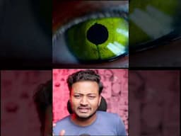 Oscar Winning adventure movies in Hindi #netflix #movies #shorts