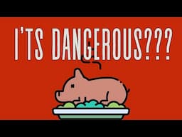 Why Is Pork Forbidden in Some Religions?