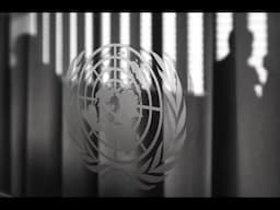 Making a career change to the UN? Here’s how to leverage your skills