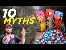 They Lied to You About Parrots..😡 (10 Myths Busted) | #exoticparrots #ShaikhTanveer #pets