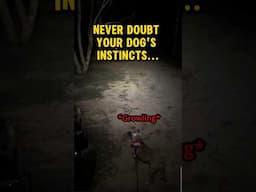 Never Doubt Your Dog's Instincts...