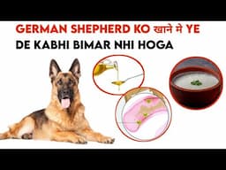 German shepherd ko खाने मे ye de kabhi bimar nhi hoga /dog health problem and there solution