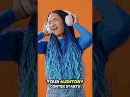 Music can activate multiple regions of the brain simultaneously. Truth or Trash Episode 257 #biology