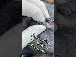 Você tem nojo disso??