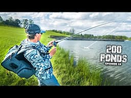Fishing A LOADED Pond For Spring Bass! (200 Ponds Ep. 19)