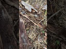 Pick your turkey location wisely here’s why!!!