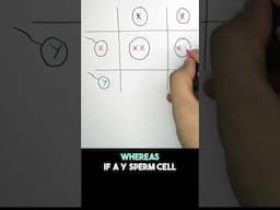 🧬 XX & XY Chromosomes Sex Inheritance Explained in 30 Seconds! 👶 | GCSE Biology