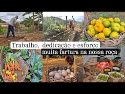 Rotina da tarde/ fiz jantar fresquinho trabalho na horta e colheita de ovos/ frutas e verduras
