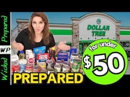 I Stocked a Prepper Pantry for less than $50 at Dollar Tree!  You won't BELIEVE everything I got!