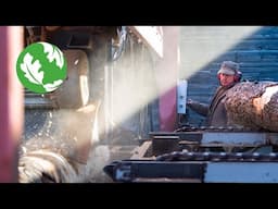 Trees from Conservation Work Create Jobs