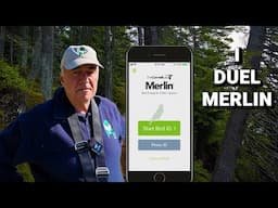 I challenge the MERLIN BIRD ID app to a duel.