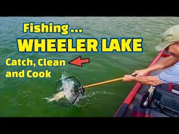 Catching FISH to EAT for DINNER !!! (CATCH,CLEAN and COOK Fish)