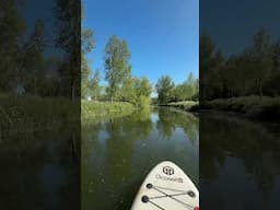 Peaceful River SUP (Stand Up Paddle Boarding)