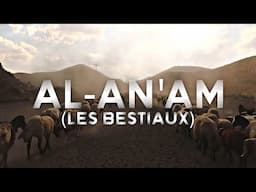 Sourate/Coran Al-An'am (Les béstiaux) (سورة الأنعام) - Magnifique Récitation Qui Apaise le Cœur