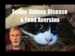 Feline Kidney Disease...and Food Aversion