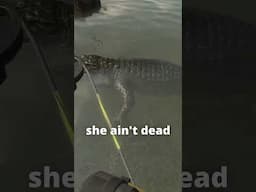 Gator Wrangling 🐊🏹 | theHunter: Call of the Wild