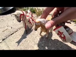A Horse Story /Schleich/