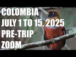Pre-Trip Briefing | Colombia: Birds and Biodiversity July 2025 | Cheesemans' Ecology Safaris
