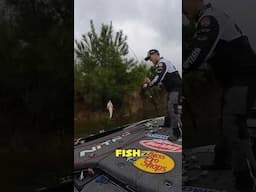 STAY PUT! 🎣 #bassfishing