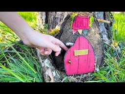The Smallest Rescued Kittens Found a New Home. Building a New House for CATS.
